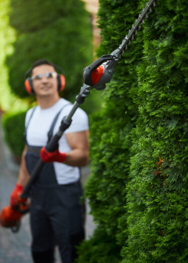 Handsome caucasian man in uniform trimming hedge during summer time. Young male person using hand electric cutter for gardening work.